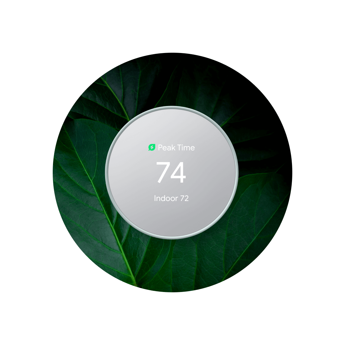 Google announces cleaner energy features for its thermostats with Nest  Renew -  News